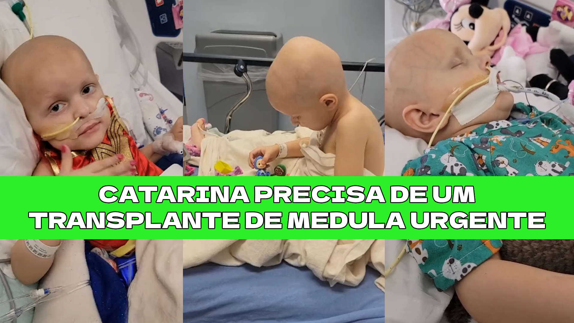 Transplante de medula para Catarina 🙏💚
